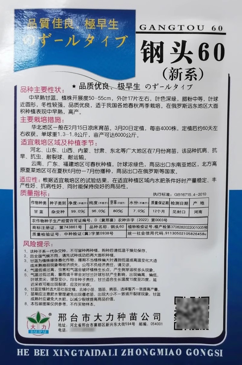 钢头60甘蓝种子绿包菜一代杂交种子中早熟甘蓝种子