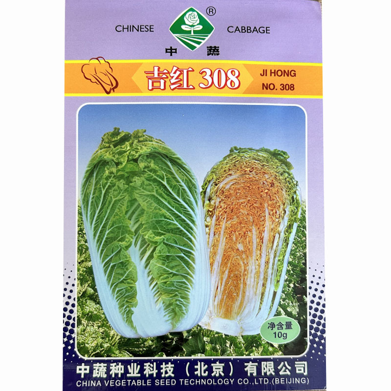 吉红308大白菜种子橘红心秋播白菜高产抗病口感好耐寒