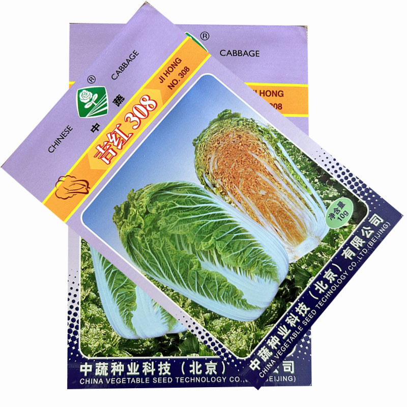 吉红308大白菜种子橘红心秋播白菜高产抗病口感好耐寒