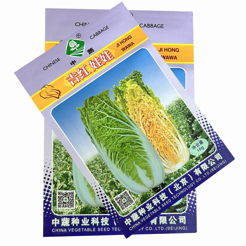 吉红娃娃菜种子小白菜橘红心秋季白菜耐寒大田基地