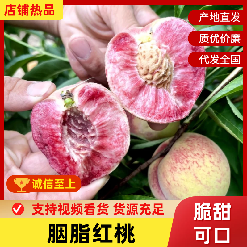 【一件代发】胭脂红湖北胭脂红脆桃血桃现摘现发品质保证