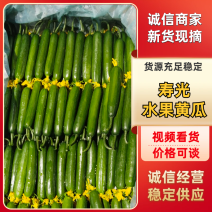 山东寿光水果黄瓜，荷兰小青瓜，电商社区团购，现摘现发