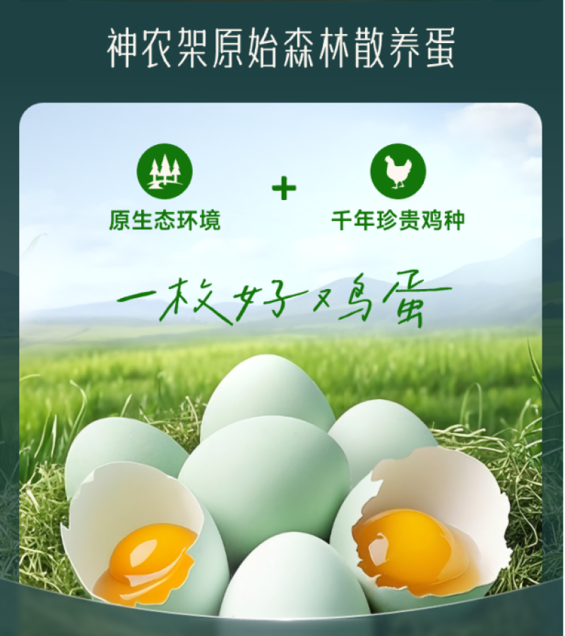 神农架原始森林散养蛋