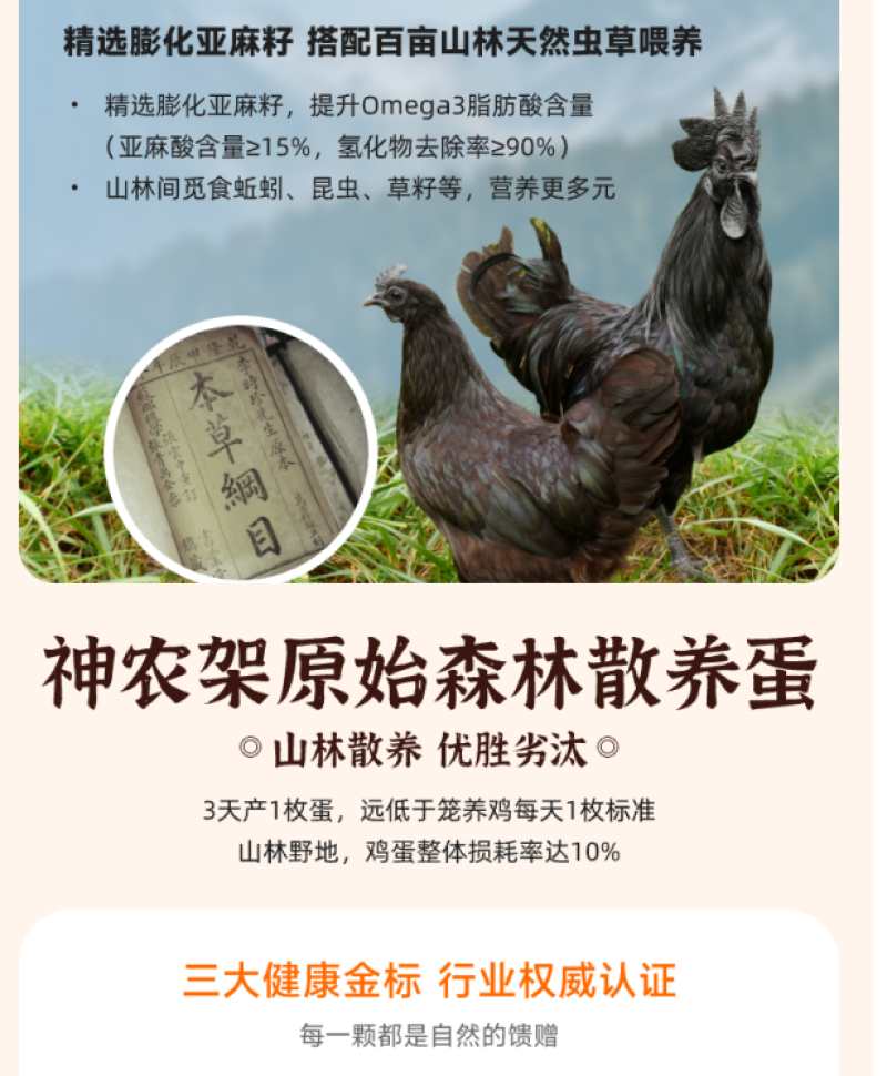 神农架原始森林散养蛋