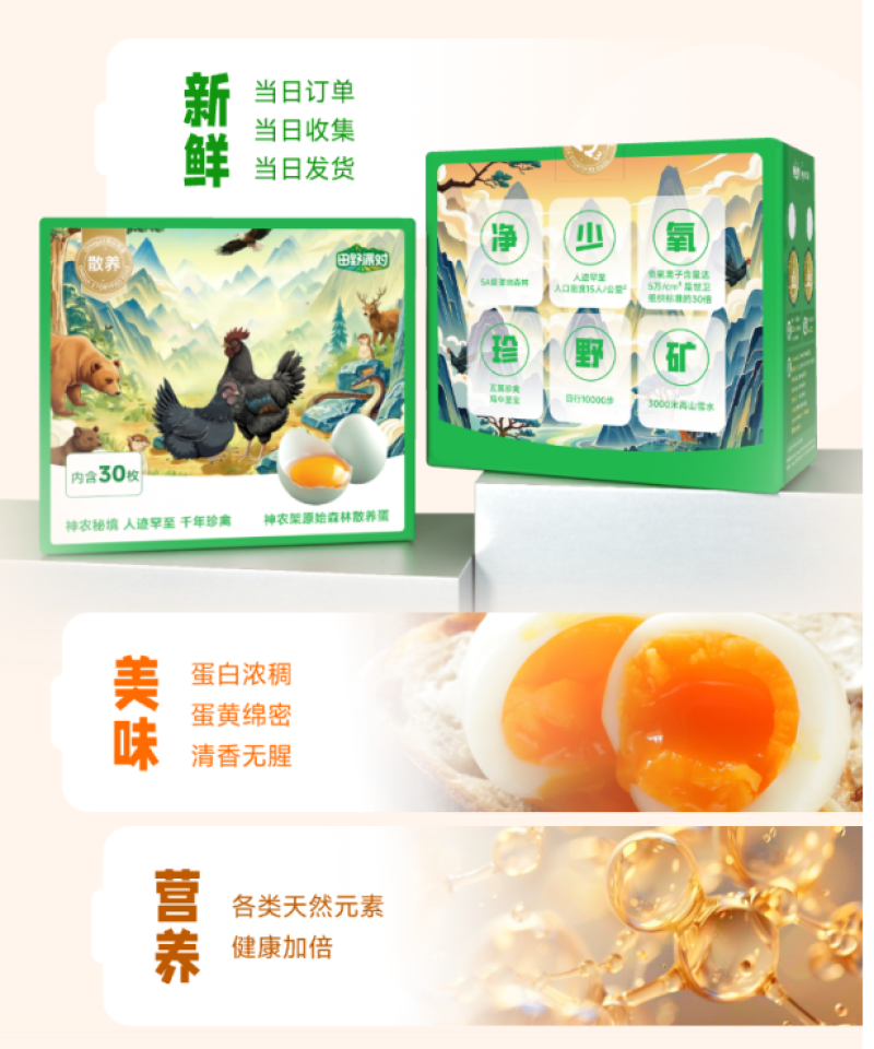 神农架原始森林散养蛋