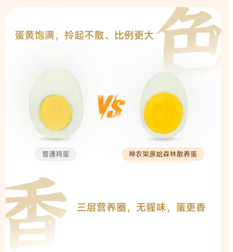 神农架原始森林散养蛋
