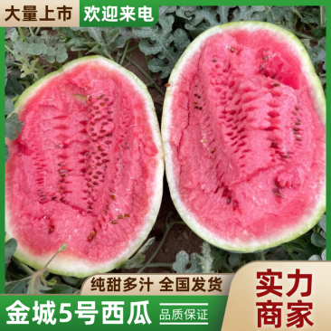 金城5号西瓜湖北金城5号西瓜湖北西瓜皮薄多汁量大从优