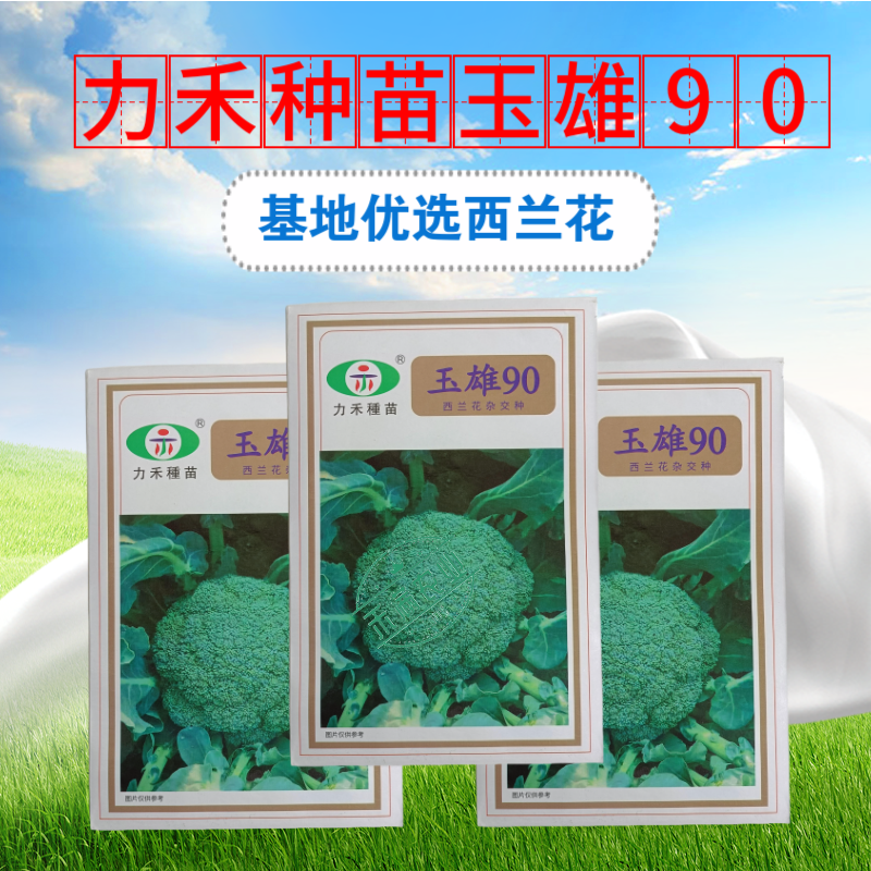 【力禾种苗】玉雄90西兰花种子中晚熟绿菜花基地优选西兰