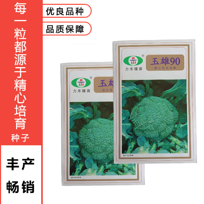 【力禾种苗】玉雄90西兰花种子中晚熟绿菜花基地优选西兰