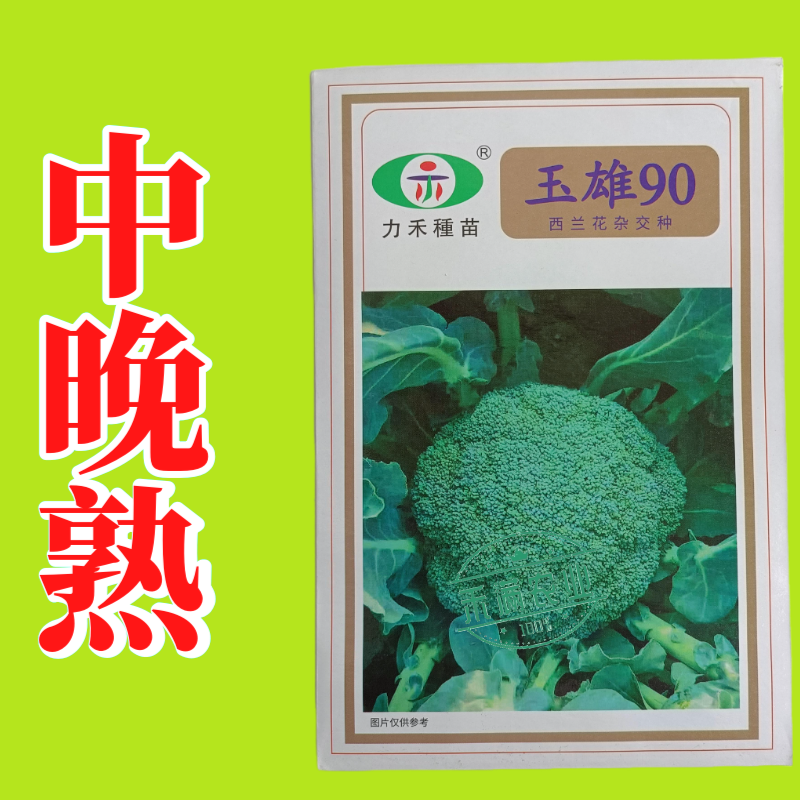 【力禾种苗】玉雄90西兰花种子中晚熟绿菜花基地优选西兰