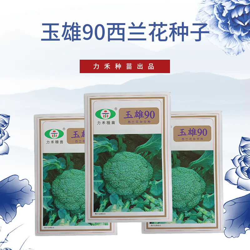 【力禾种苗】玉雄90西兰花种子中晚熟绿菜花基地优选西兰