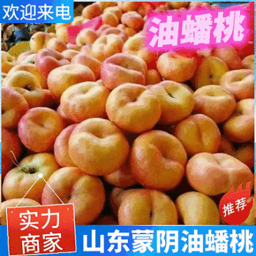 《一件代发》油蟠桃/蒙阴油蟠桃/产地现摘/规格齐全/全国发货