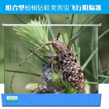 组合型松树钻蛀类害虫飞行阻隔器
