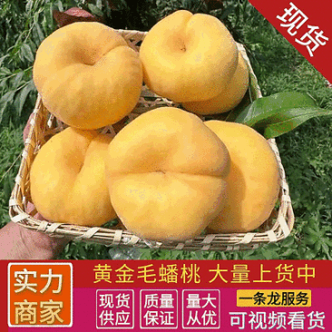 《一件代发》黄毛蟠桃对接电商平台社区团购基地现摘现发