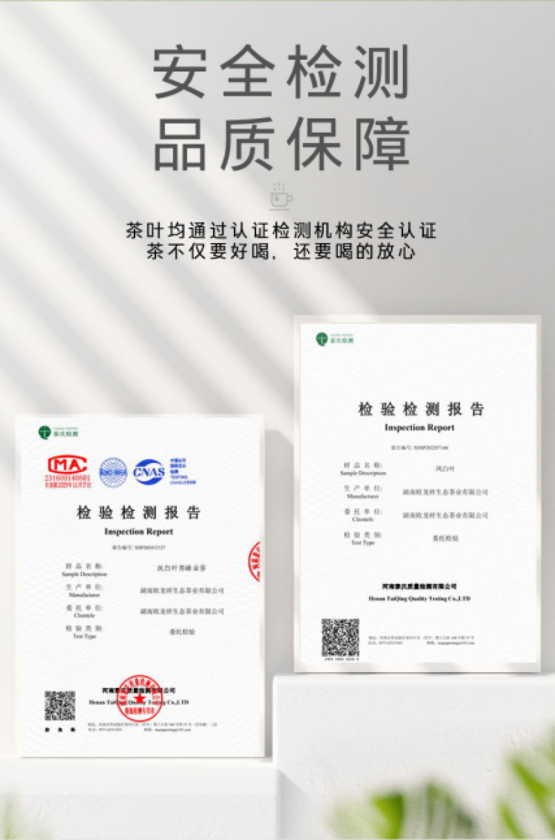 湖南省新田县凤白叶硒茶【秀峰金芽】绿茶精美硬盒礼品款