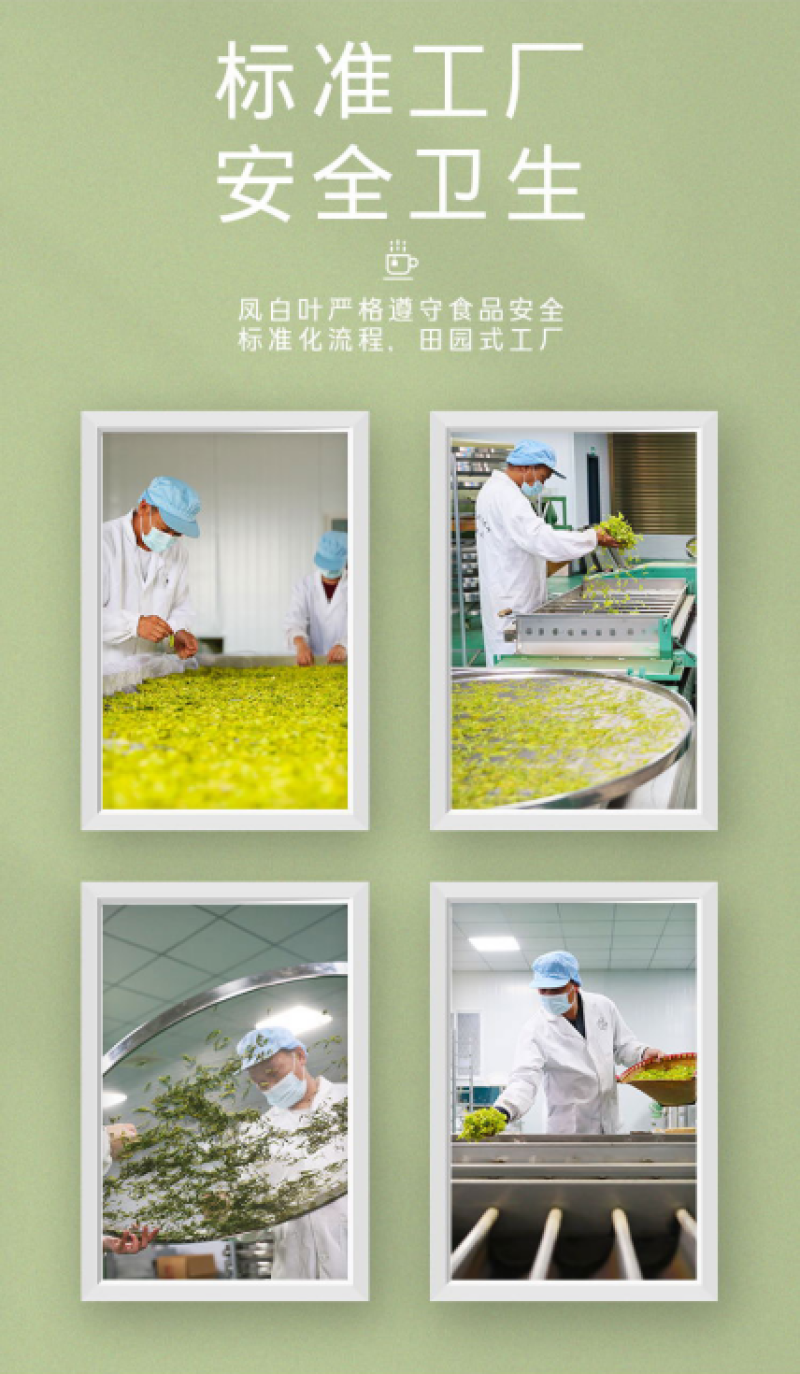 湖南省新田县凤白叶硒茶【新田红】精美礼盒装