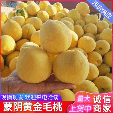 《一件代发》蒙阴黄毛桃/产地大量现货供应/现摘现发/全国发货