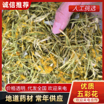 【实力】安徽精品五彩花，优质五彩花，货量充足，欢迎选购