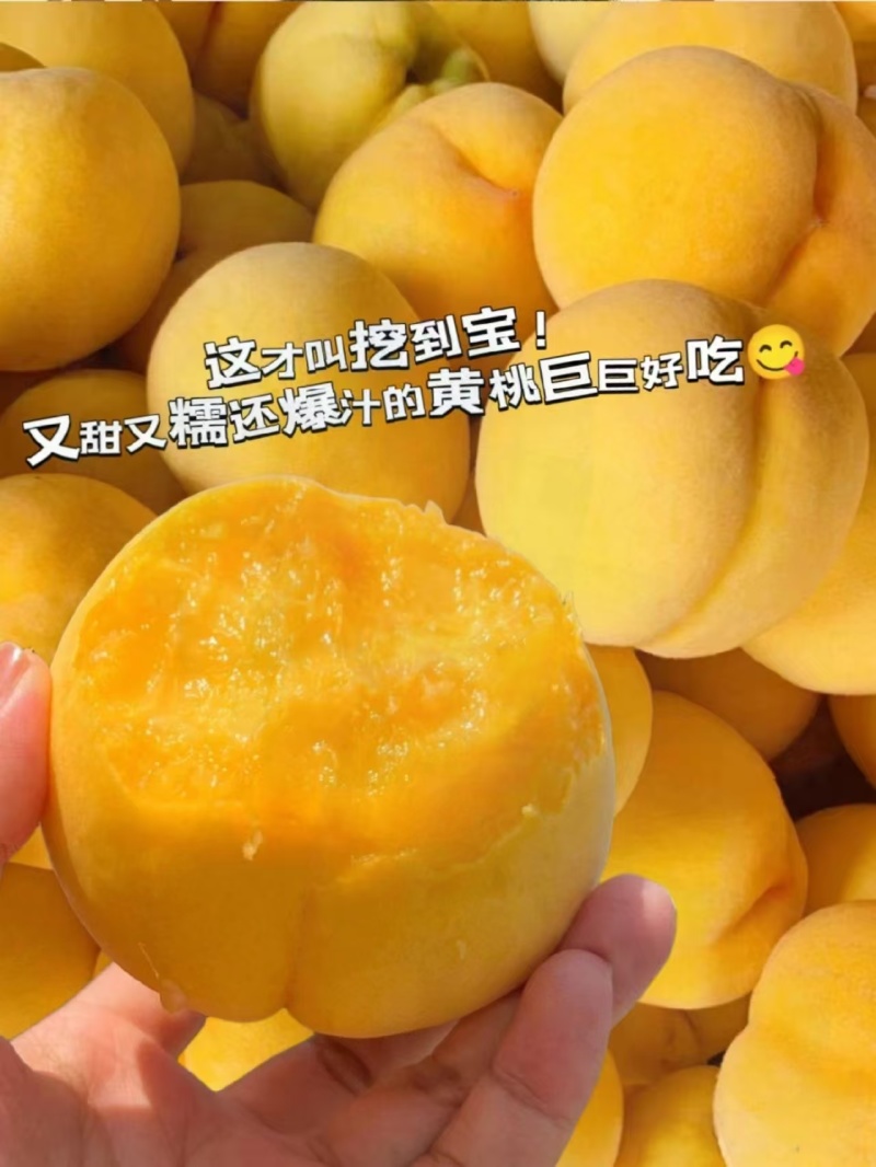 精品黄桃黄金蜜桃产地直发口感好价格优惠，大量供应电商市场