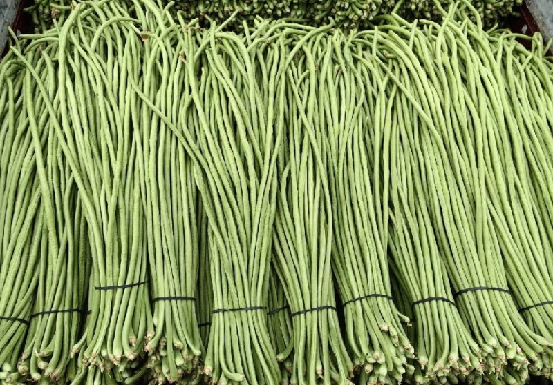 精品缸豆，长豆角，品质保证，价格优惠，产地直发，对接全国