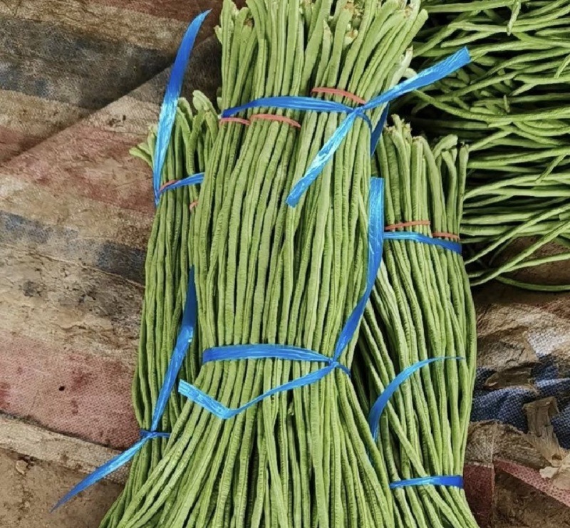江苏缸豆，长豆角，品质有保障，价格实惠，产地直发