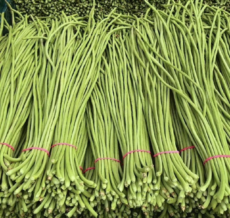 江苏缸豆，长豆角，品质有保障，价格实惠，产地直发