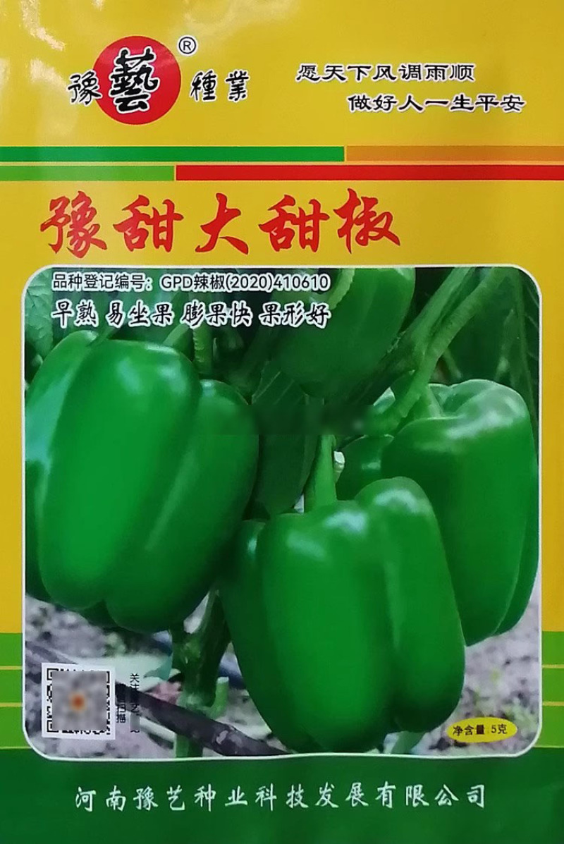 豫甜大甜椒种子甜椒王种籽果型方正优质灯笼椒大果菜椒高产