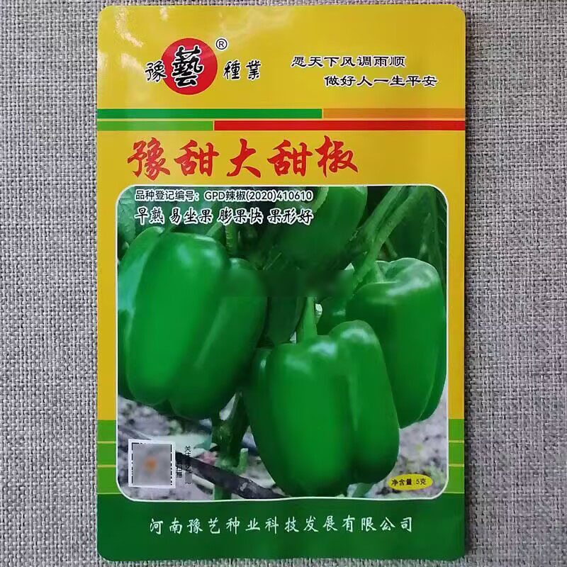 豫甜大甜椒种子甜椒王种籽果型方正优质灯笼椒大果菜椒高产
