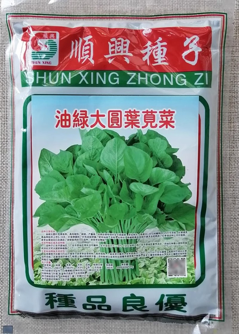 顺兴油绿大圆叶苋菜种子速生青苋菜种籽叶片圆形浅绿高产耐热