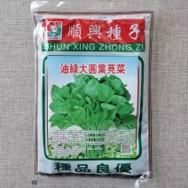 顺兴油绿大圆叶苋菜种子速生青苋菜种籽叶片圆形浅绿高产耐热