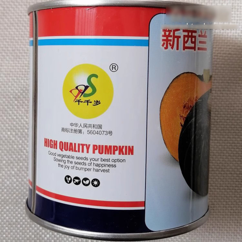新西兰板栗南瓜种子扁圆型高产杂交果肉金黄肉厚皮薄
