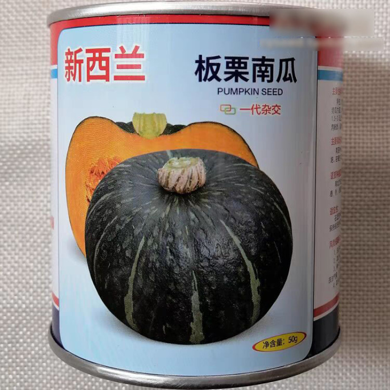 新西兰板栗南瓜种子扁圆型高产杂交果肉金黄肉厚皮薄