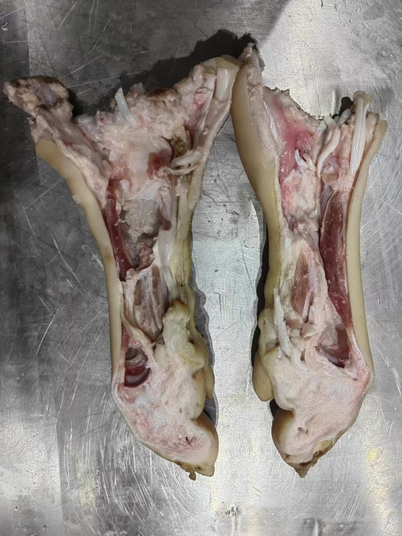 开边无骨猪蹄品质保证用于连锁商超食品厂卤味