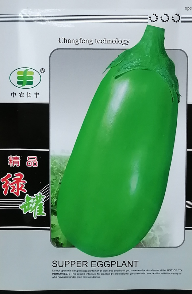 茄子种子白花绿杂精品青茄种子绿罐茄种子大棚露地高产