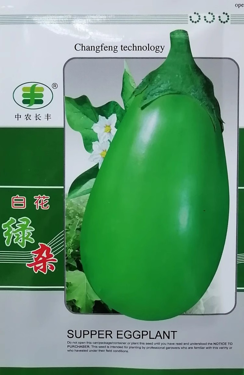茄子种子白花绿杂精品青茄种子绿罐茄种子大棚露地高产