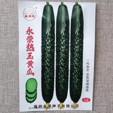 永荣热玉黄瓜种子瓜条深绿油亮顺直高产黄瓜种籽短把密刺