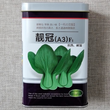 一代杂交靓冠青梗菜种子叶柄青绿四季播蔬菜青菜种子
