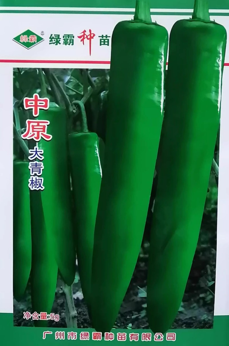 绿霸一代双骄辣椒种子泡椒种籽中原大青椒尖椒微辣牛角椒翠绿
