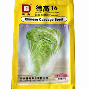 德高16白菜种子基地专用耐热大白菜种籽夏季早熟高产叠