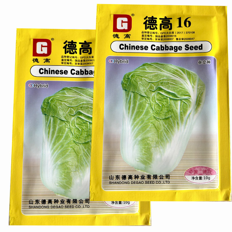 德高16白菜种子基地专用耐热大白菜种籽夏季早熟高产叠