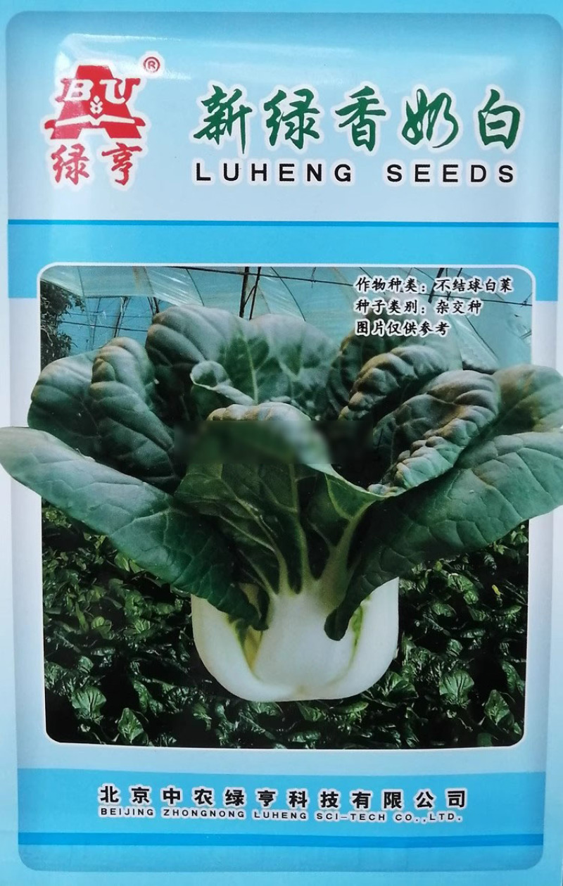 中农绿亨新绿香奶白种子杂交高品质小白菜奶油白菜种籽