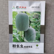粉皮小冬瓜种子中早熟杂交一代冬瓜种籽果型美观肉厚味鲜