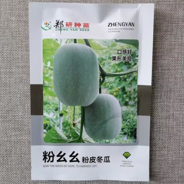 粉皮小冬瓜种子中早熟杂交一代冬瓜种籽果型美观肉厚味鲜