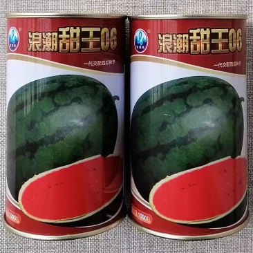 浪潮甜王06西瓜种子暗花皮特大高糖甜王奶香西瓜种籽香甜