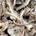 野生商陆，现场采摘，欢迎老板来电话视频看货