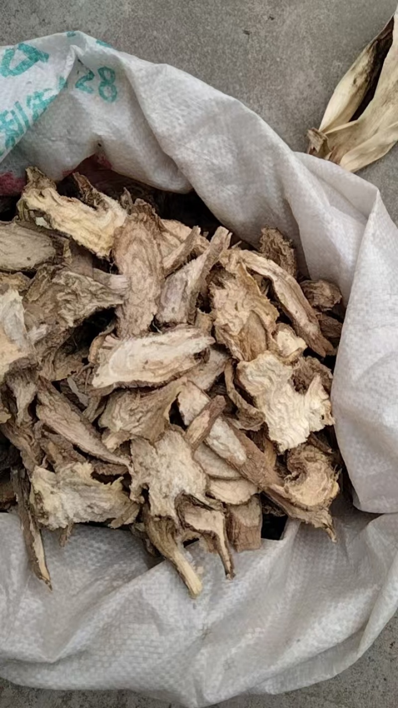 野生商陆，现场采摘，欢迎老板来电话视频看货