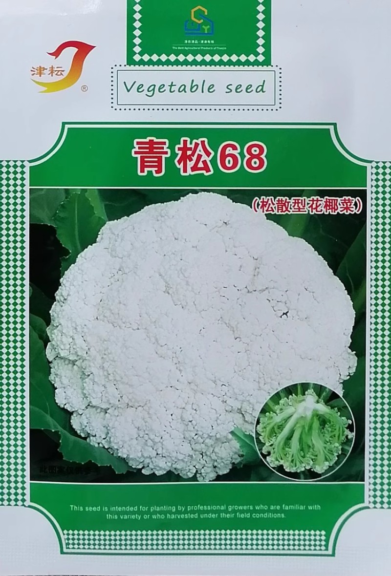 青梗松花菜种子青松68/85/90松散型抗病花椰菜种子