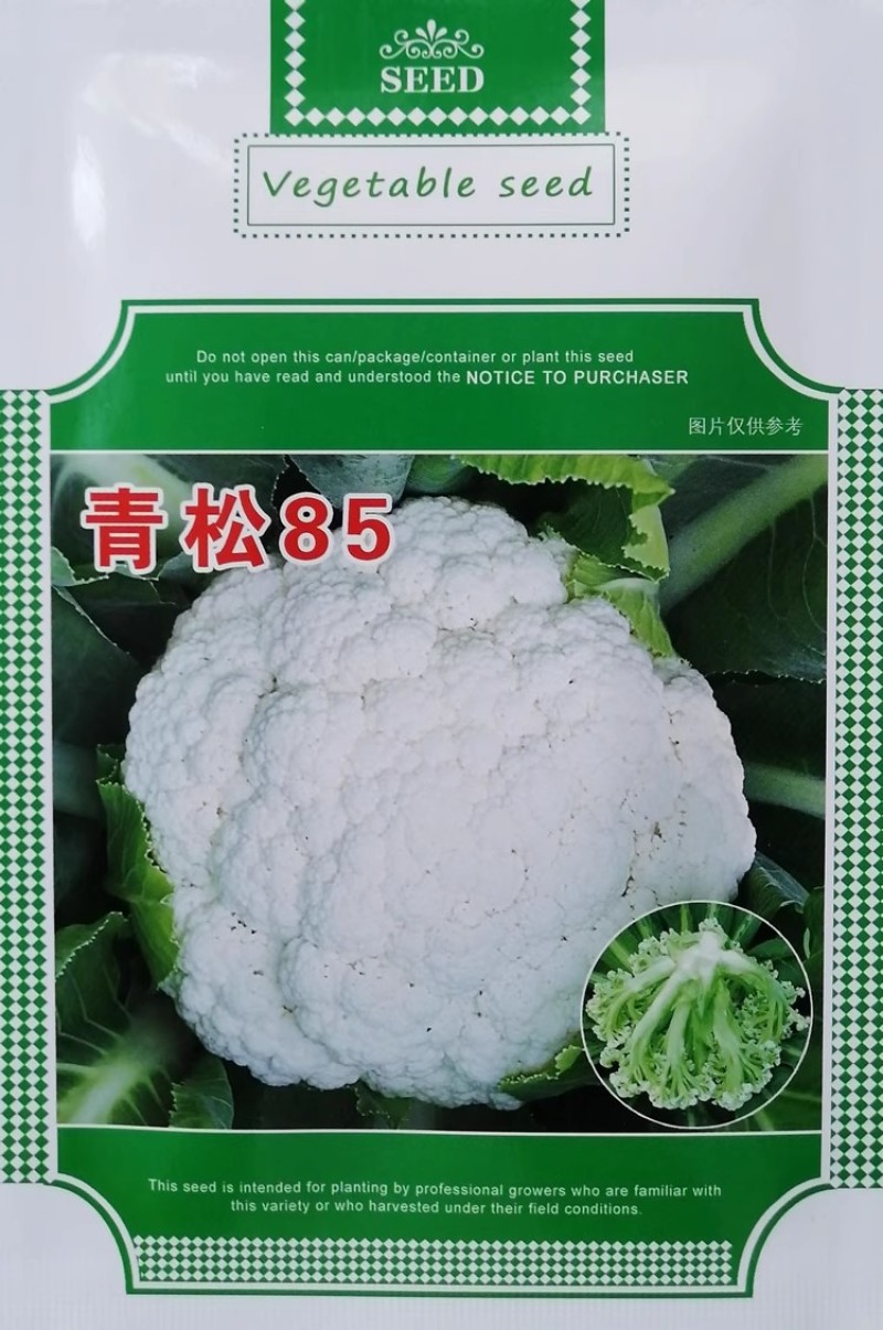 青梗松花菜种子青松68/85/90松散型抗病花椰菜种子
