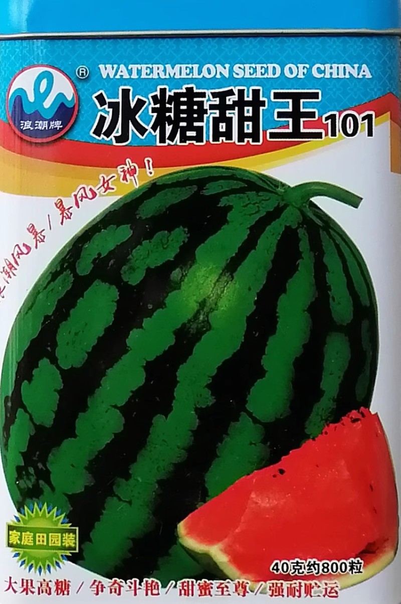 浪潮冰糖甜王西瓜种子大果高糖短椭圆绿花皮西瓜种籽酥脆香甜