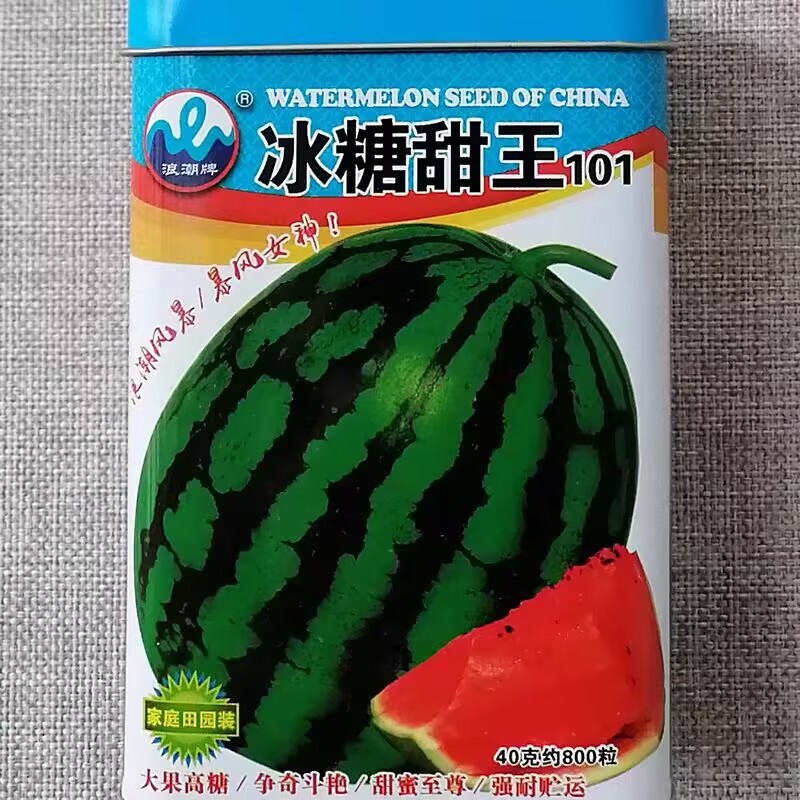 浪潮冰糖甜王西瓜种子大果高糖短椭圆绿花皮西瓜种籽酥脆香甜